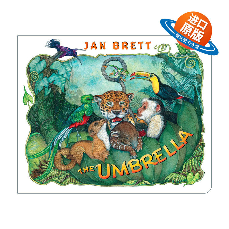 英文原版绘本 The Umbrella 雨伞 幼儿儿童自然主题绘本 纸板书 Jan Brett 英文版 进口英语原版书籍