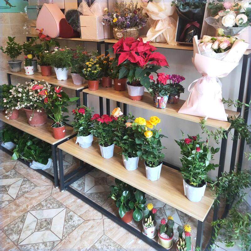 花店花架鲜花展示架多肉落地式花盆架铁艺室内客厅简约阳台置物架