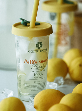 GOING HOME硅胶吸管高硼硅透明玻璃夏日水杯高颜值女生大容量杯子