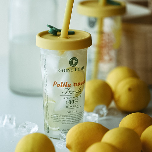 GOING HOME硅胶吸管高硼硅透明玻璃夏日水杯高颜值女生大容量杯子