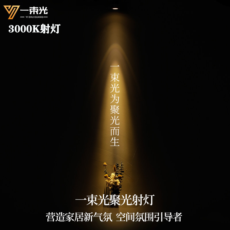 一束光聚光射灯小角度3度5度8度15度光束角暖光3000K办公室书门店