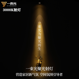 一束光聚光射灯小角度3度5度8度15度光束角暖光3000K办公室书门店