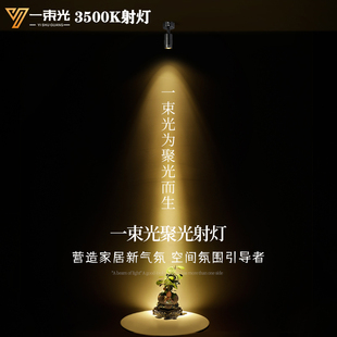 一束光聚光射灯明装小角度3500K古典气氛复古氛围造型走廊咖啡厅