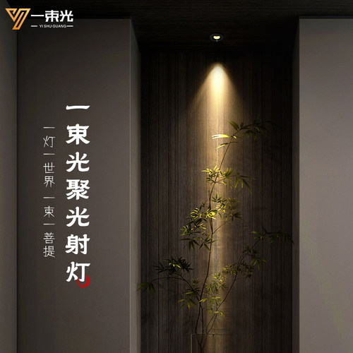 一束光聚光射灯/设计师推荐正品