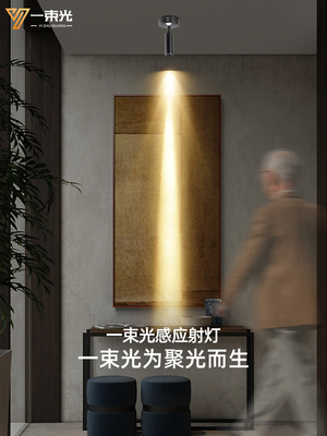 一束光聚光射灯小角度明装人体感应客厅茶室入户玄关过道走廊楼梯