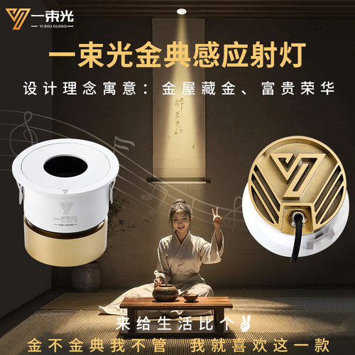 一束光金典射灯/设计师首选品牌