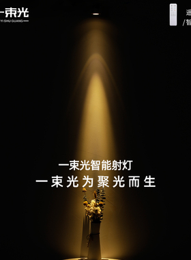 一束光聚光射灯智能调光嵌入式小角度3度8茶室氛围客厅玄关柜子灯