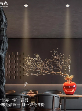 一束光聚光射灯嵌入式小角度吊顶茶室氛围玄关灯天花暗装55mm黑色