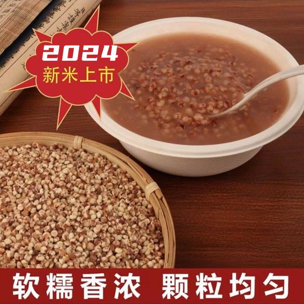 双印东北红糯高粱米新米白高粱米