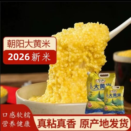 2026年新晟阗大黄米东北新黄米面