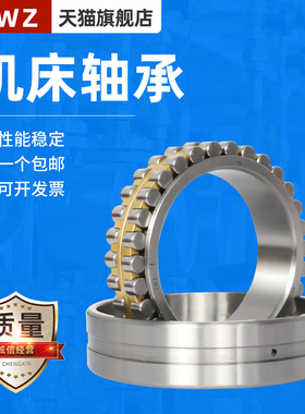 ZWZ瓦房店圆柱滚子NN3005K/NN3006K/NN3007K/NN3008K/W33/P5/P4