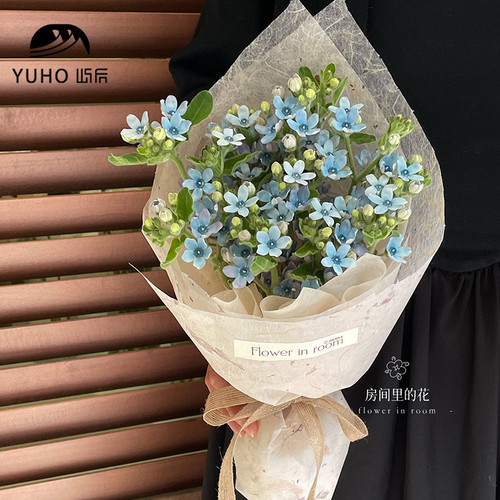 进口纸手工纸YUHO屿后