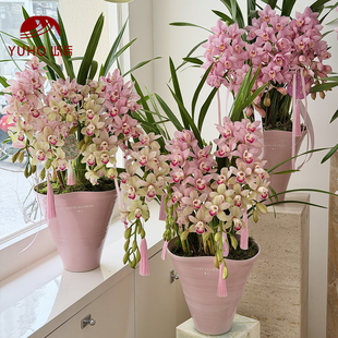 屿后 【2026】新年粉陶瓷花瓶大花惠兰diy装饰品花瓶客厅摆件材料