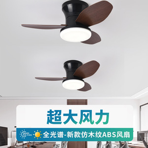 东南亚跨境风扇吊扇灯简约安装餐厅带灯电风扇灯小型吸顶风扇灯