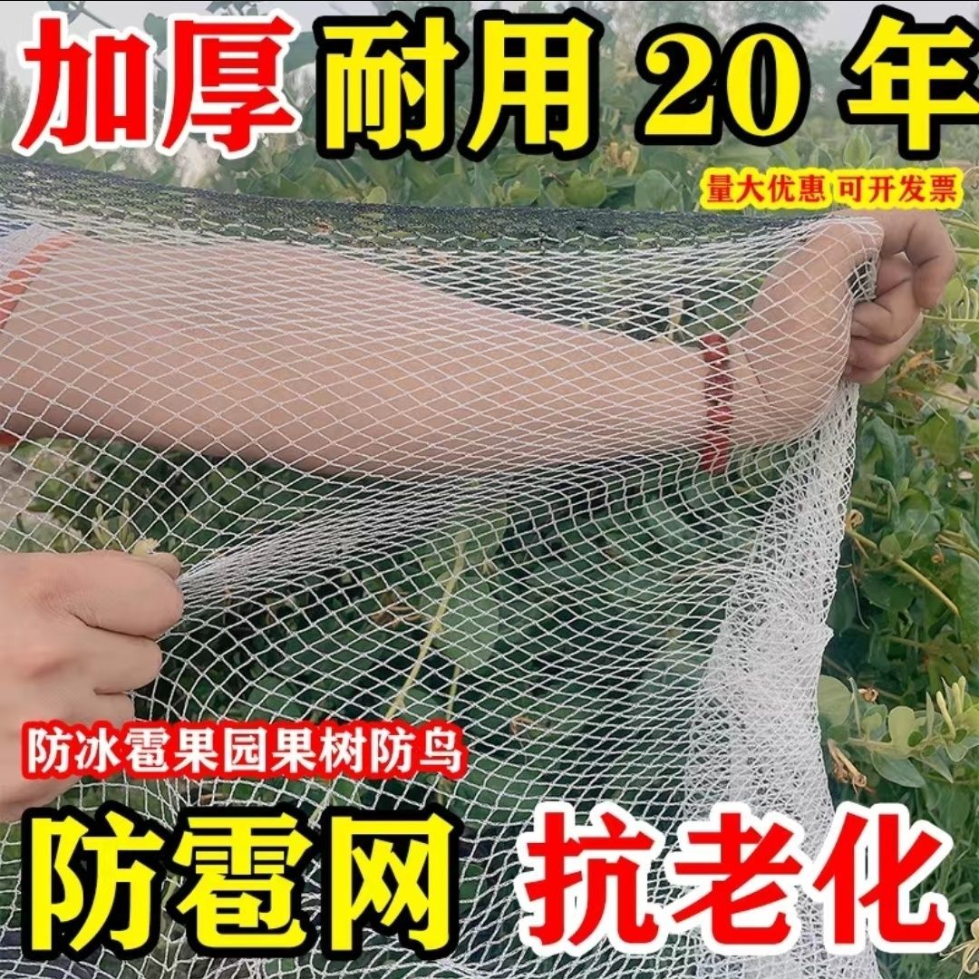 防冰雹防雹网果园防冰雹网神器果树防鸟网防护网耐用厂家直销