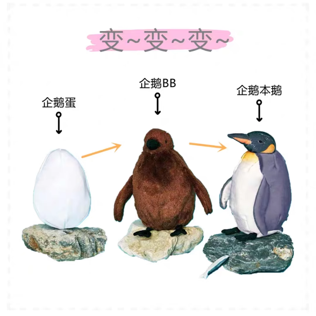 企鹅诞生的过程大阪海洋馆玩偶成长三变化仿真企鹅零钱包挂件