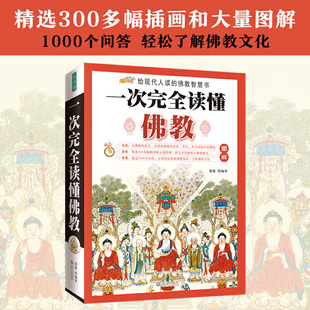 一次完全读懂佛教 金刚经学禅宗论无量寿经法华经华严经心经书籍