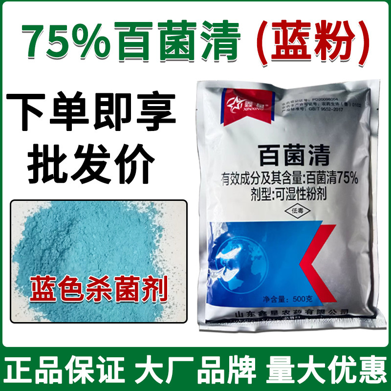 【百菌清蓝粉】75%百菌清杀菌剂粉剂叶斑病专用杀菌药正品农用