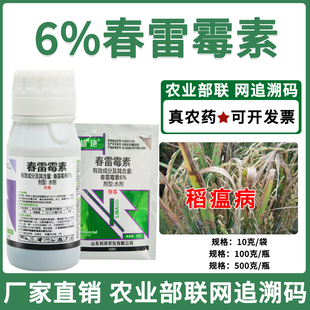 6%春雷霉素杀菌剂正品正牌老牌子国家标准厂家直销农用杀菌药批发