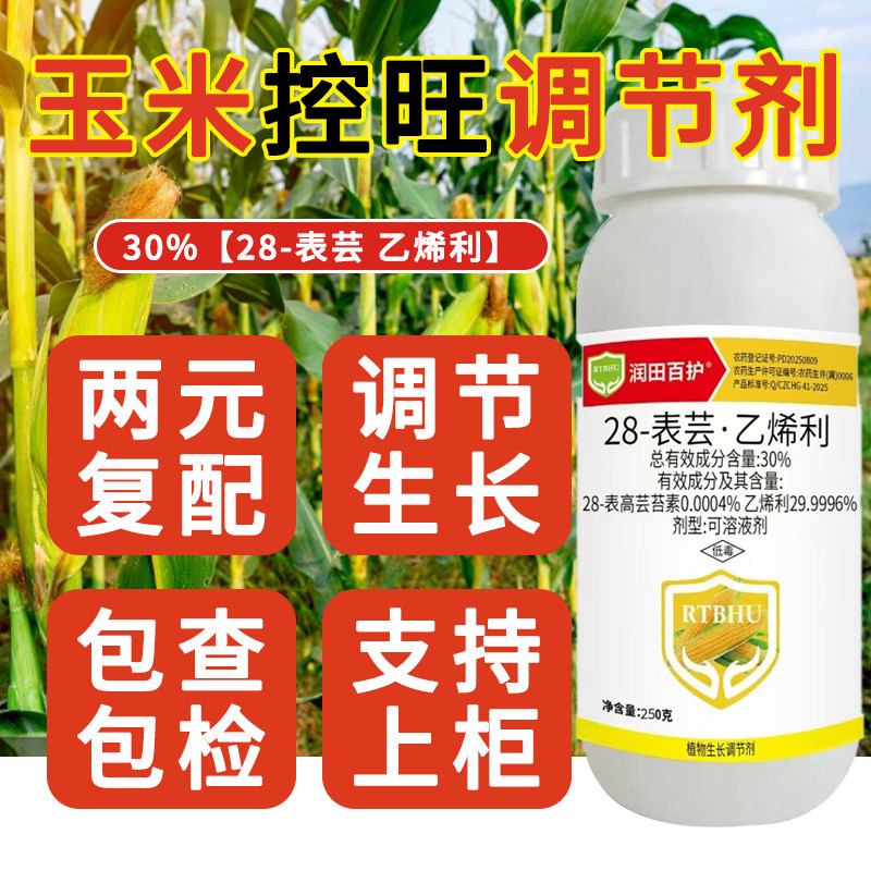 玉米控旺调节剂玉米专用