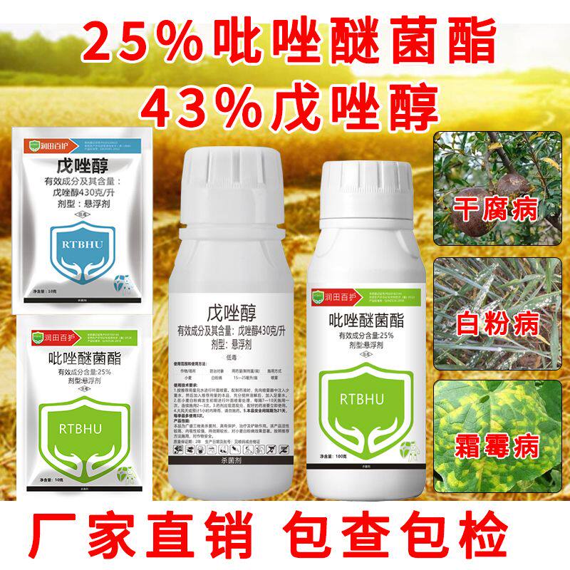 白粉病霜霉病干腐病专用农药正品