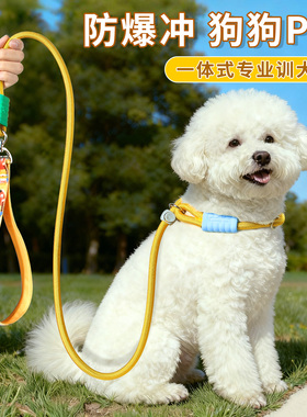 p链p绳狗狗牵引绳遛狗链子防爆冲小中大型犬训犬打结金毛宠物用品