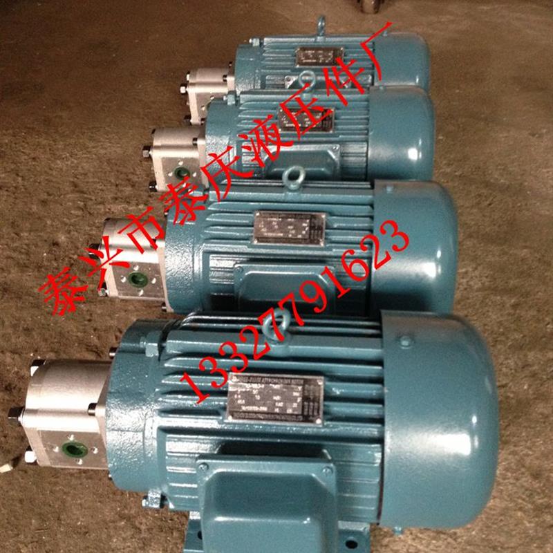 新款中高压齿轮油泵电机组CBN-F325/320//316/312/310/306内包邮