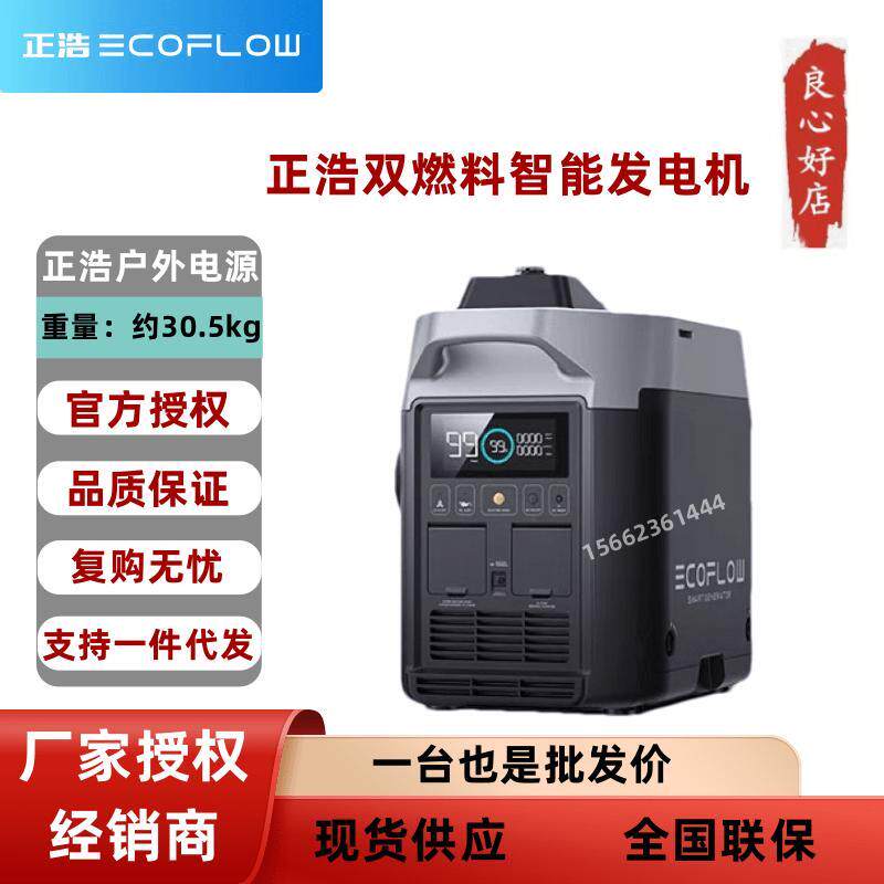 新款EcoFlow 220V大容量功率汽油液化气双燃料智能发电机包邮