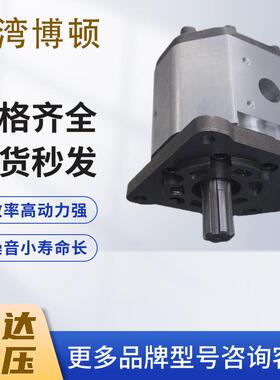 新款博顿油泵Boden齿轮泵BHP3B0 BHP3B1 BHP3A0 BHP3A1 BHM3B包邮