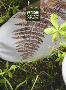 意大利Fabbro蕨类植物哑光不规则雾面陶餐盘椭圆深盘拉面碗秋冬季