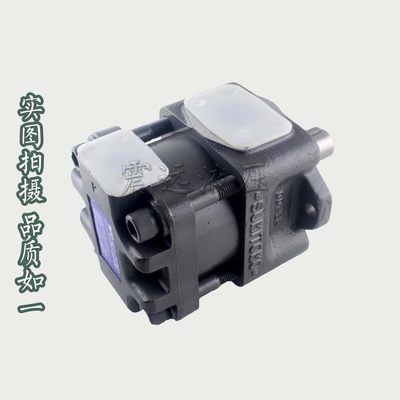 新款新款住友SUMITOMO QT63-80/100/125-F-A/Z 内齿轮泵包邮