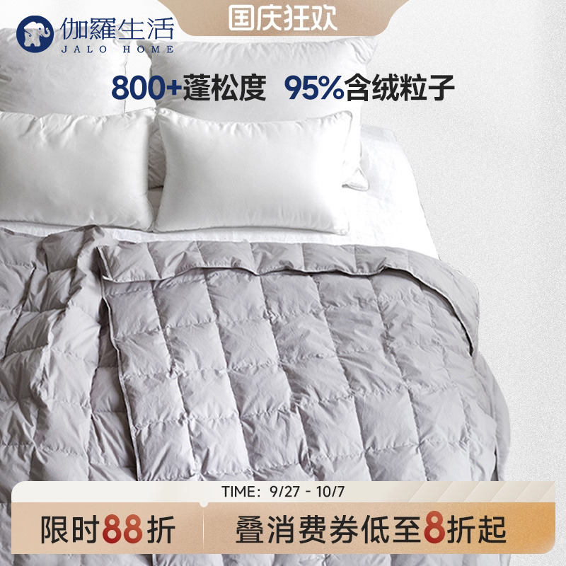 800+生活蓬松度鹅绒被冬季款