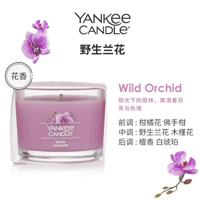 YankeeCandle扬基进口香薰蜡烛助眠生日礼物伴手礼男女香氛家用