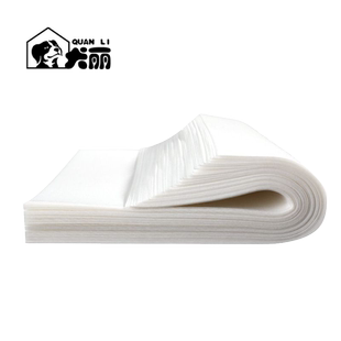 犬丽宠物擦尿神器垫狗狗尿垫宝宝小便清理速干吸水纸巾布不湿大犬