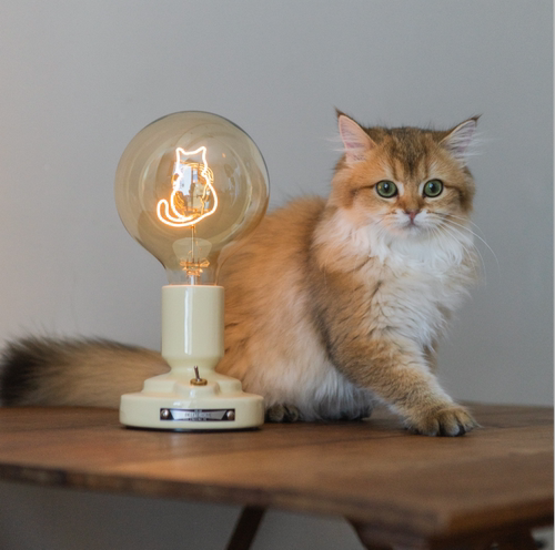 猫咪生日礼物卧室台灯氛围灯复古