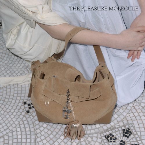 thepleasuremolecule喷泉包28