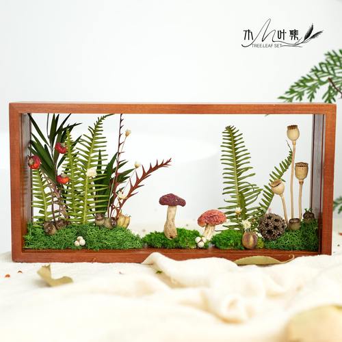 家居摆件植物微景观高颜值好物