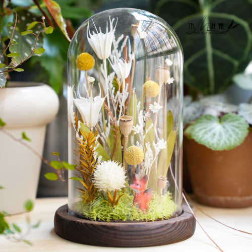 干 干燥花永生花玻璃罩植物标本微景观办公桌书房摆件自然森系礼