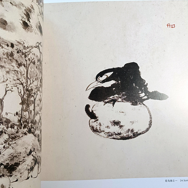 八大山人画集八大山人书法精选大写意花鸟画山水画册名家临摹范本石涛弘仁山水册渐江石溪明末清初四僧山水画集