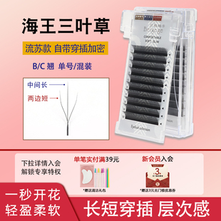 贝格格新款海王三叶草睫毛长短穿插嫁接超柔软自然浓密美睫店专用