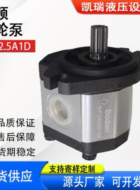 新款BHP2.5A1D30C1F1油泵D45/D32/D36/D38/D40/D44/包邮