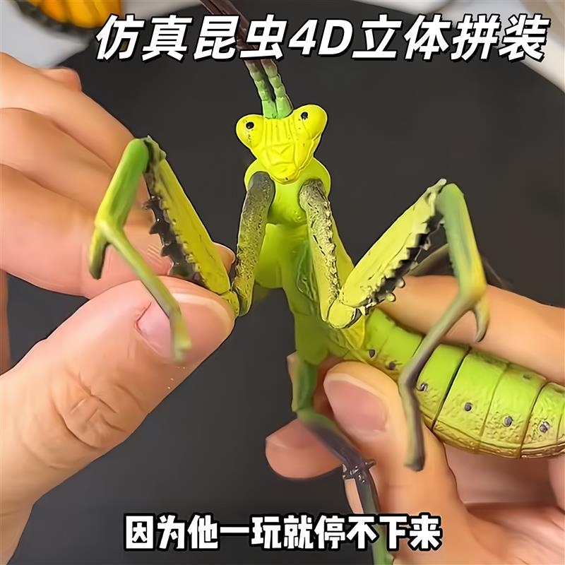 仿真昆虫动物4D立体拼装模型拼图益智玩具锻炼儿童动手思维厂家