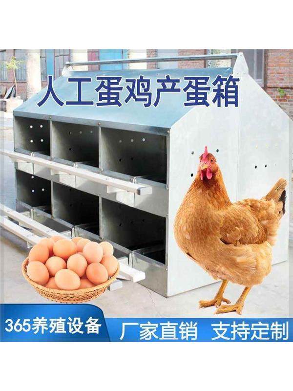 散养鸡窝下蛋窝防雨产蛋箱24穴鸡土鸡下蛋器家禽12穴种鸡集蛋箱,畜牧/养殖物资,畜牧/养殖器械,淘宝优惠券,粉丝福利购,淘宝优惠卷