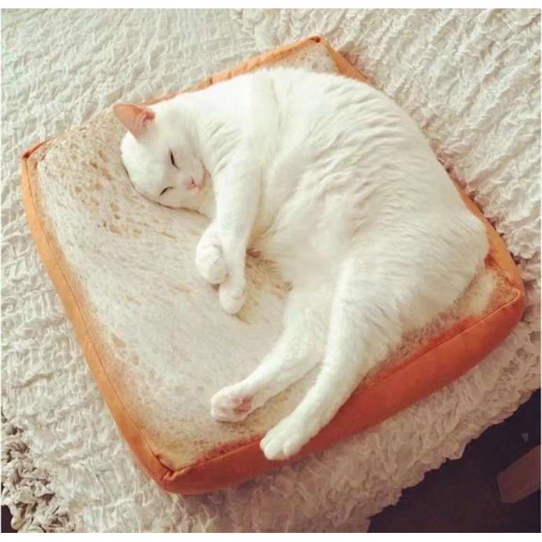 猫窝踩奶软垫宠物狗狗猫咪玩具靠