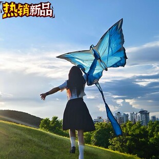 蝴蝶风筝大人专用高档微风易飞手持纸鸢大型特大号拍照道具高颜值