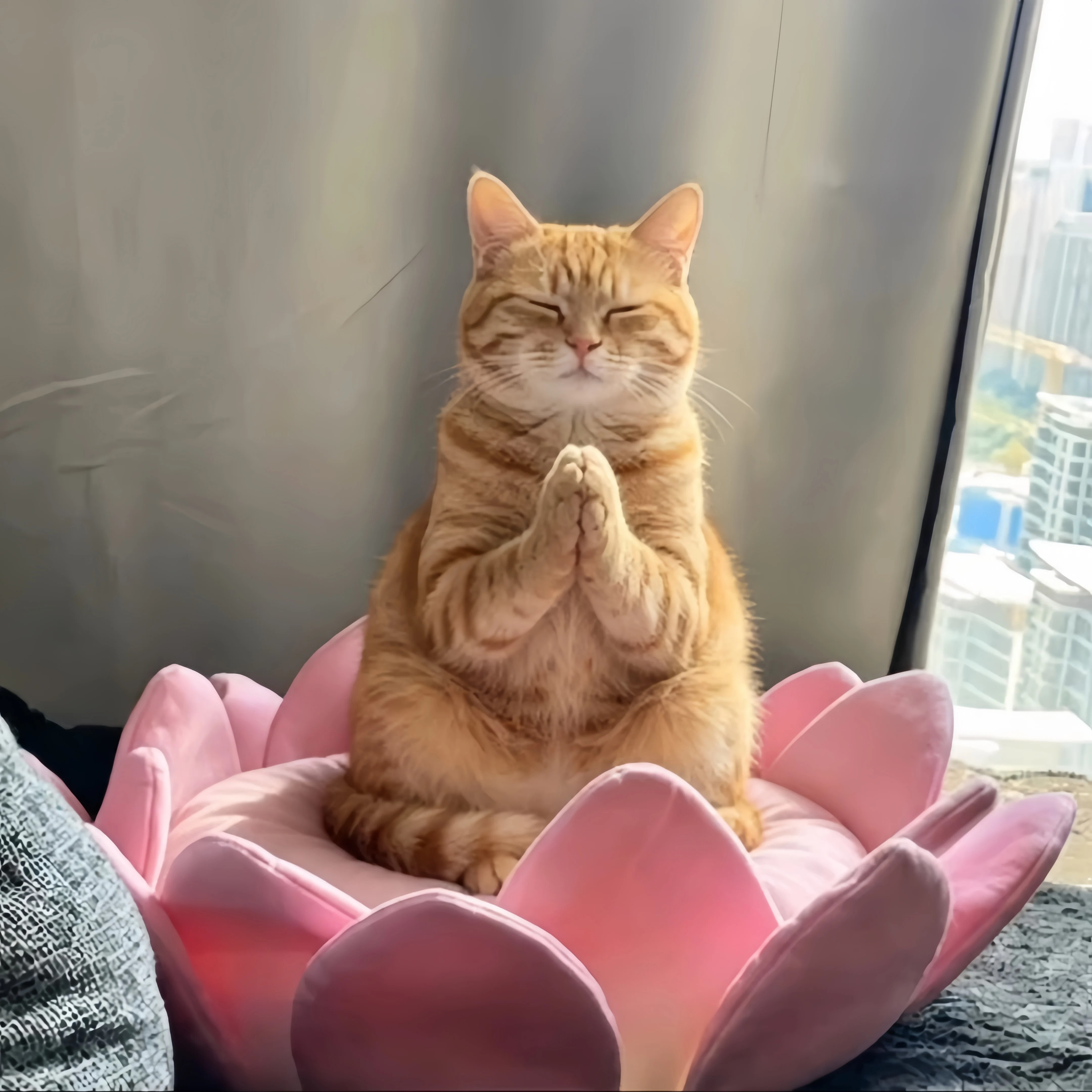 猫咪莲花坐垫久坐不累可爱招财