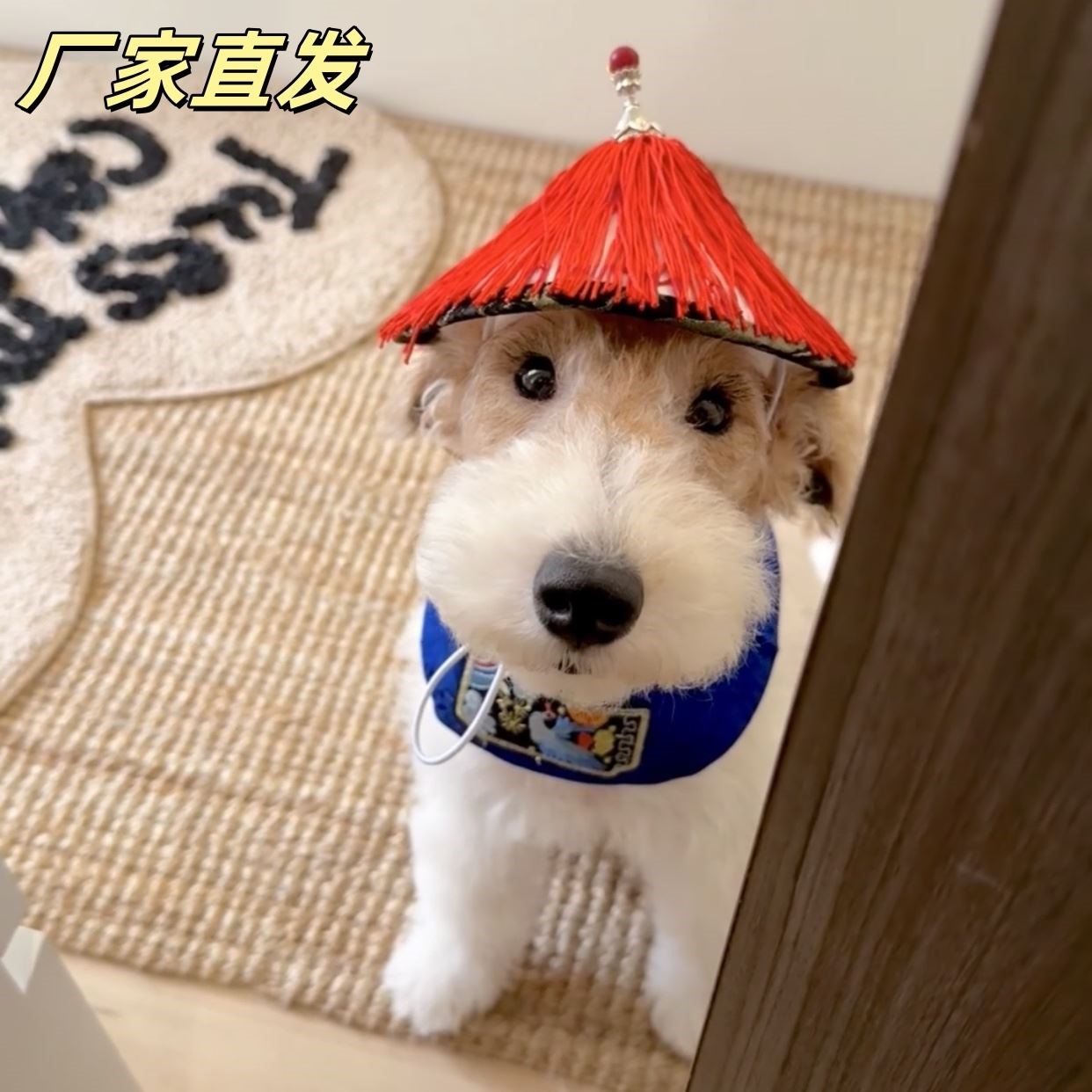 狗狗鳌拜cos服太监帽子猫咪宠物衣服王爷装小型犬比熊西高地装扮