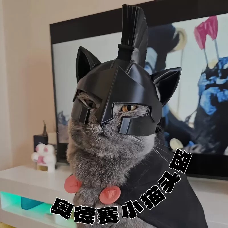 3D打印猫狗宠物头盔斯巴达勇士