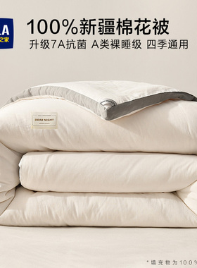 冬被新疆纯棉花被子被芯秋冬天棉被棉絮冬季加厚保暖单人春秋被褥