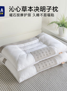 海澜之家枕头护颈椎枕助睡眠专用枕芯荞麦壳决明子男成人家用一对